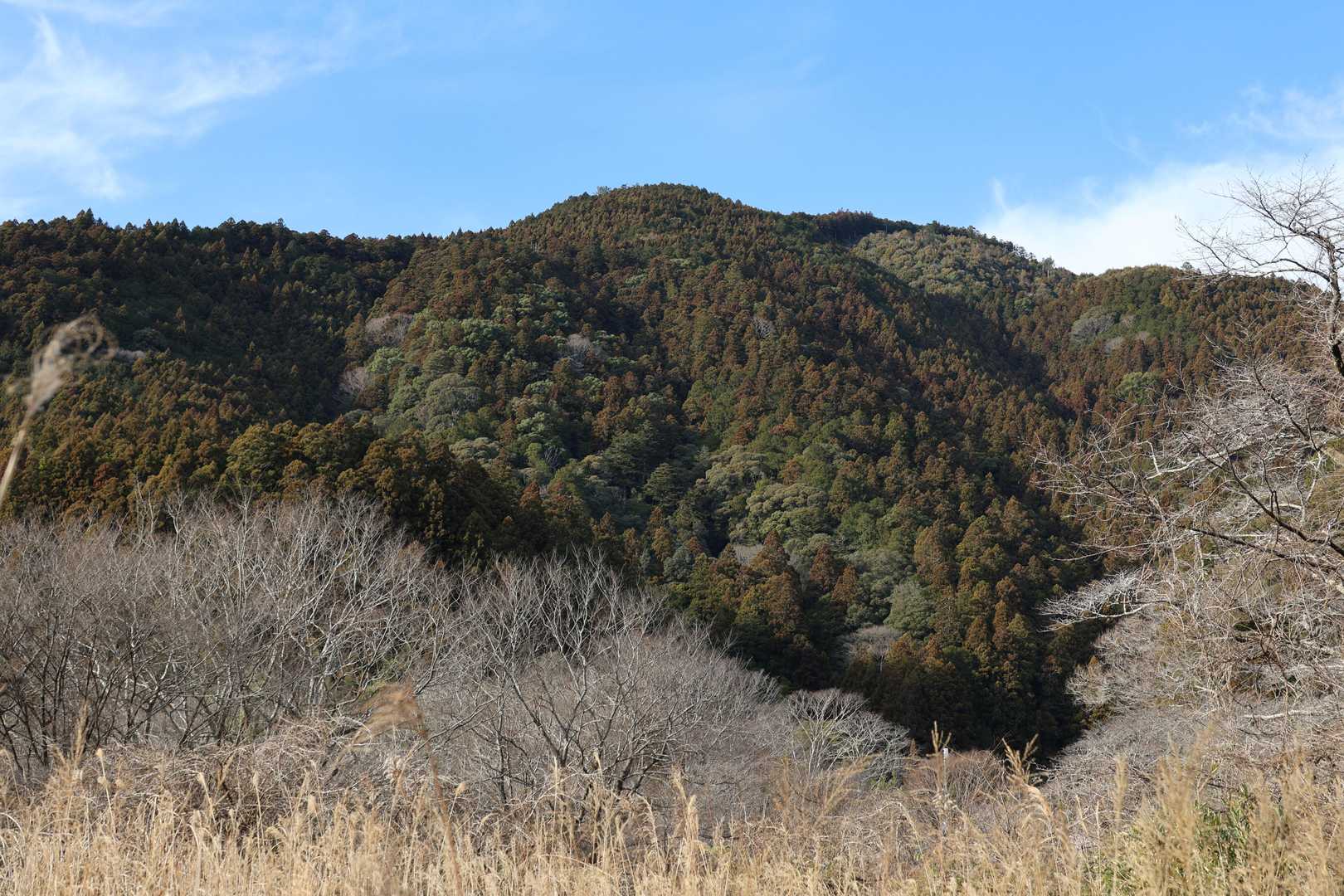 麓まで降りてきました。ついさっきまでこの山の山頂にいたんだなと思うと達成感を感じますね。