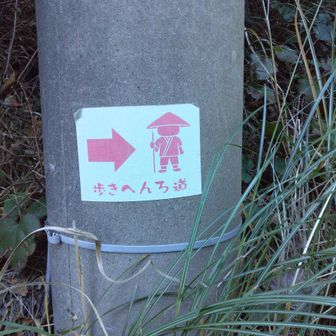 折野から峠までの登りでは見えなかった遍路道の道しるべ、やっと現れて来ました。
登りにも欲しかった。