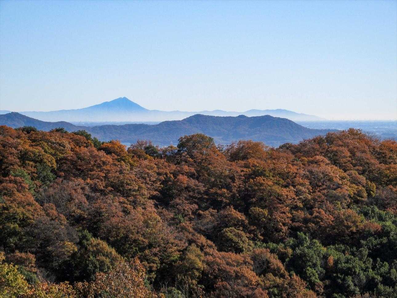 古くは万葉集にも謳われた筑波山と三毳山　色付いた尾根の向こうの立派な雄姿に、思わず一句詠みたくなる