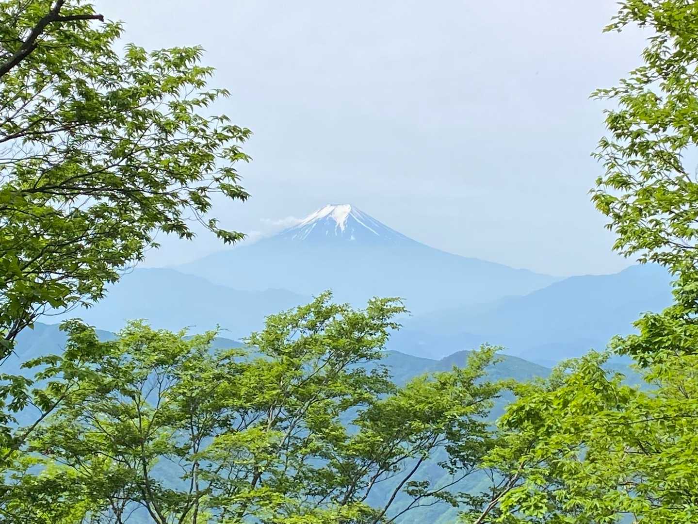 蜂指沢ノ頭からの富士山