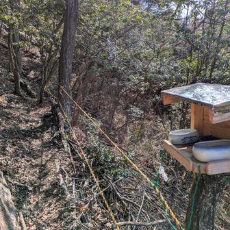 新道 奥の細道から帰ります
幅狭でもロープあるから安心
良いお山でした(⁠ ⁠ꈍ⁠ᴗ⁠ꈍ⁠)