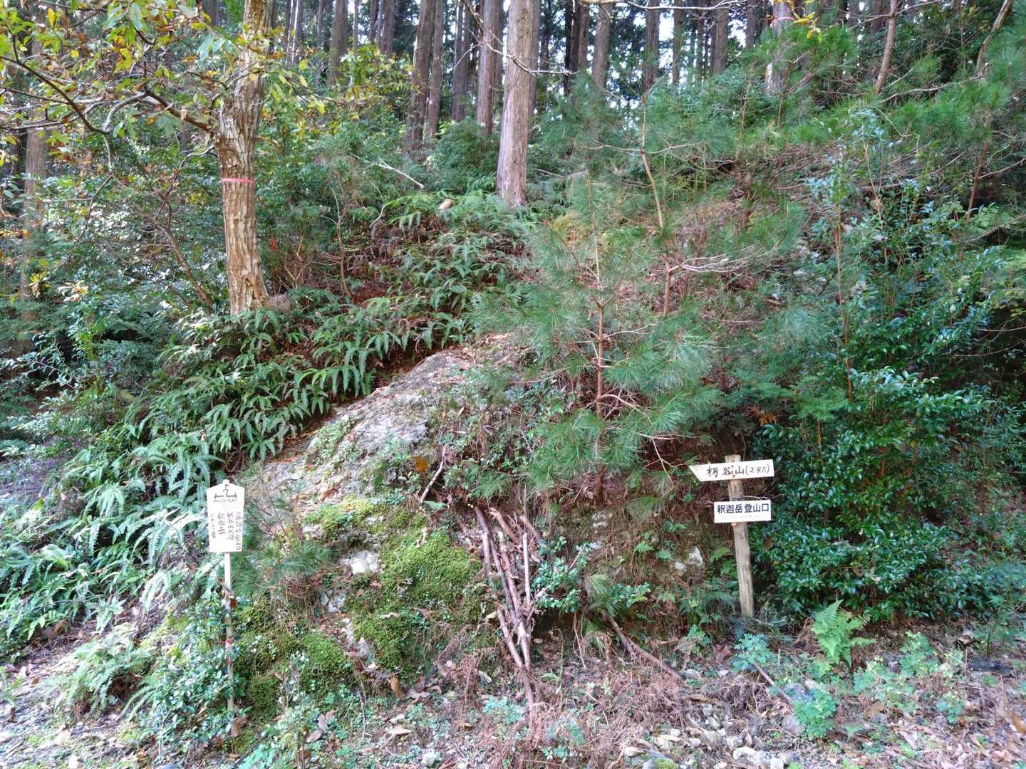 峠のすぐ脇に登山口。