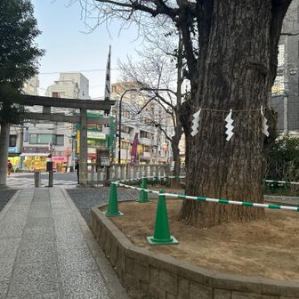 ⛩️を後に帰ります