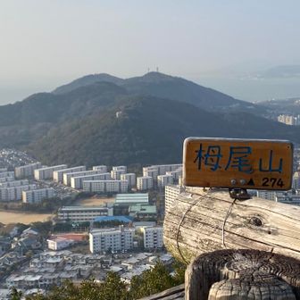 さっき登ったお山が見えた