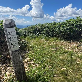大源太山は例のマッターホルンみたいな山ね。