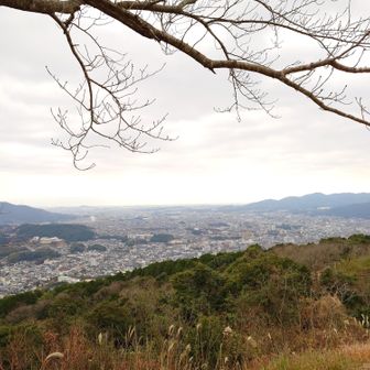 真っ白な曇り空。
冷たい風も結構強め。
寒いので、そそくさと登山路に飛び込みます。