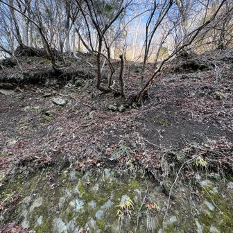 ほほぅ！ここを登るらしい！😳