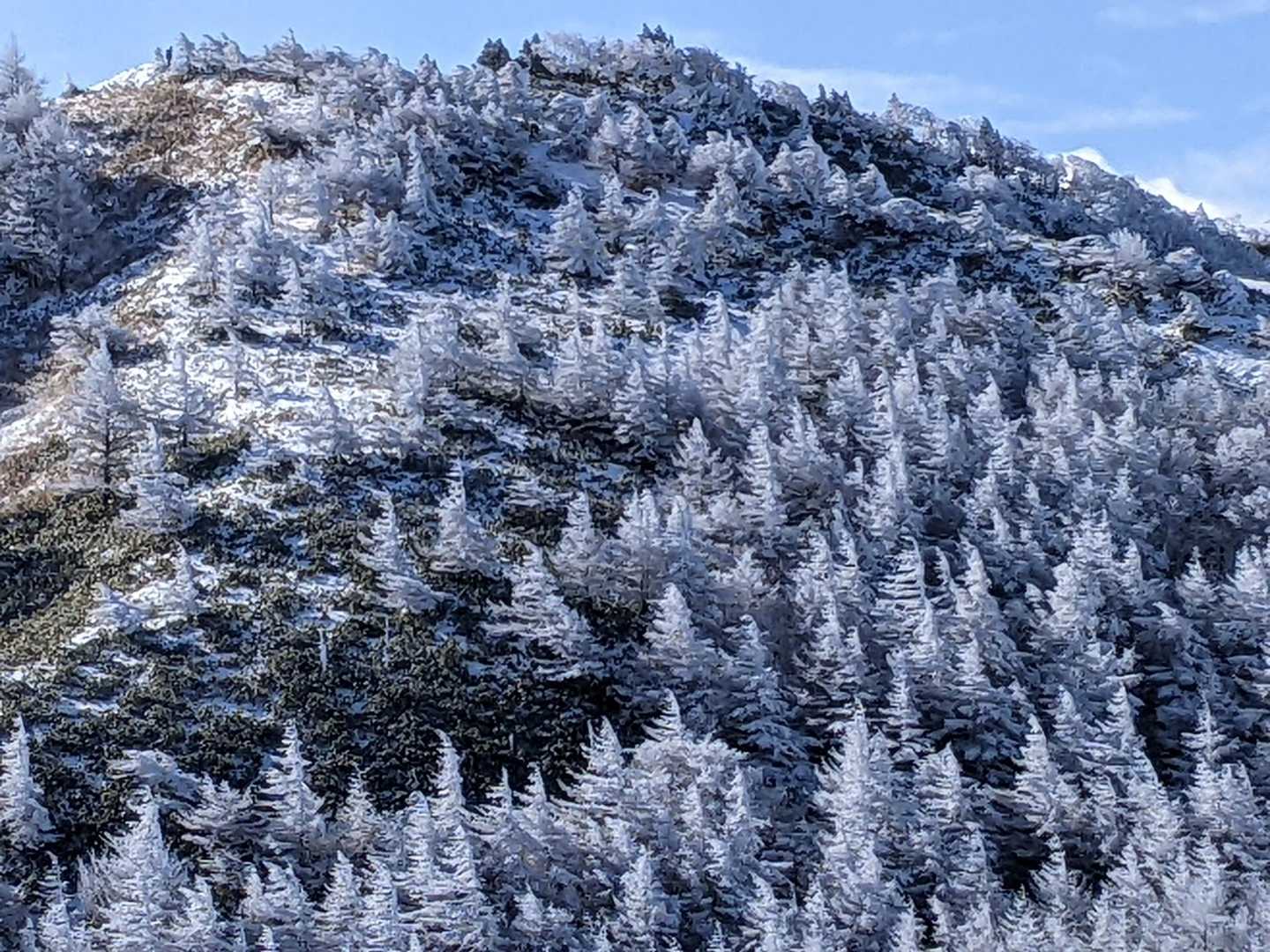 南沢山-横川山-湯舟沢山-富士見台 往復コースの写真