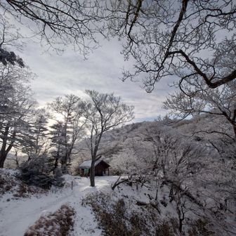 そして 稲村 小屋 到着