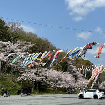 吉備津彦神社　駐車場🅿️
平日なので空いている