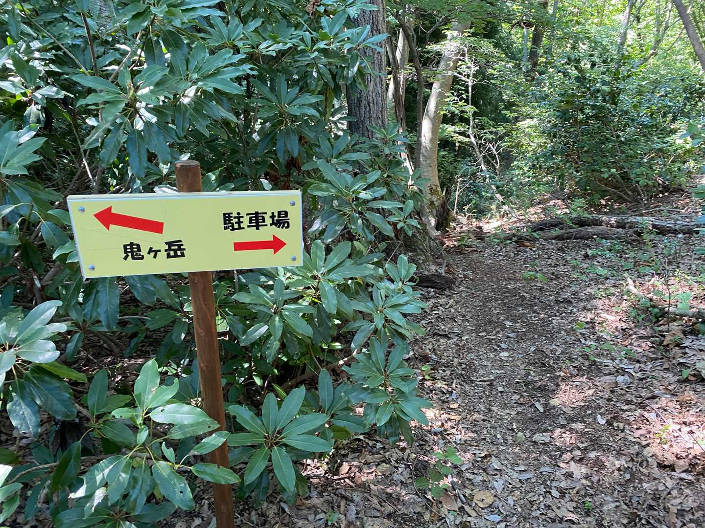 ここから新コースへ
