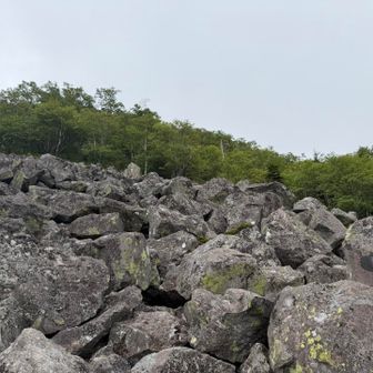 一気に岩石山🪨って感じ🤣
ナッキーが居そうな気はするけど... 岩場でキョロキョロしながら登山は難しい💦