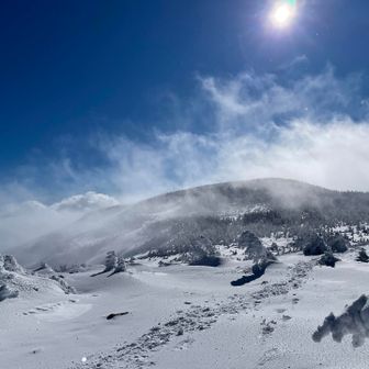 やっと晴れの方向になりました💙