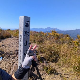 念の為､手も入れてみました