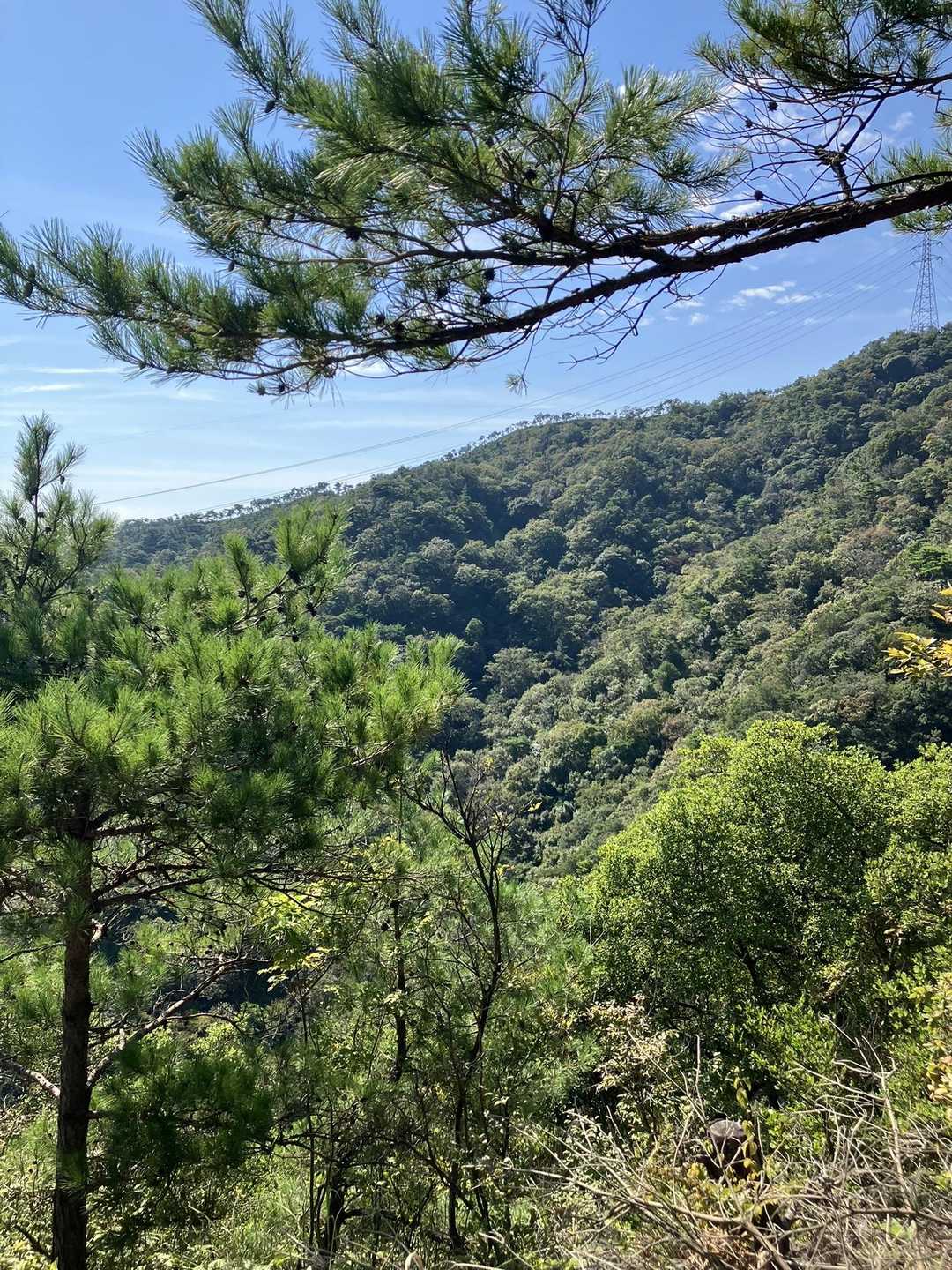 向こうの木がまばらな尾根が、登りで通って来た道。