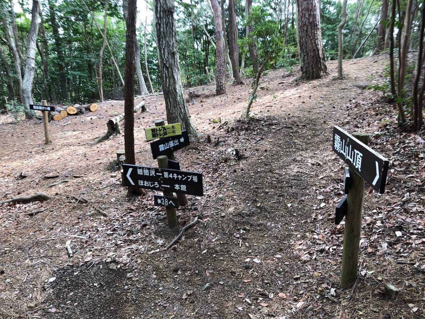 下りは暗闇沢コースへ。
