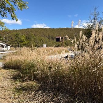和田峠駐車場🅿️に無事帰りました
ありがとうございました、足攣り🦵そう😅