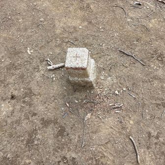 団子山は山頂碑なし。