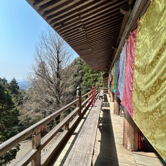 清水の舞台の様ね