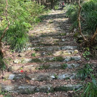 とにかく七高山巡りしてる方がたくさんでしたー