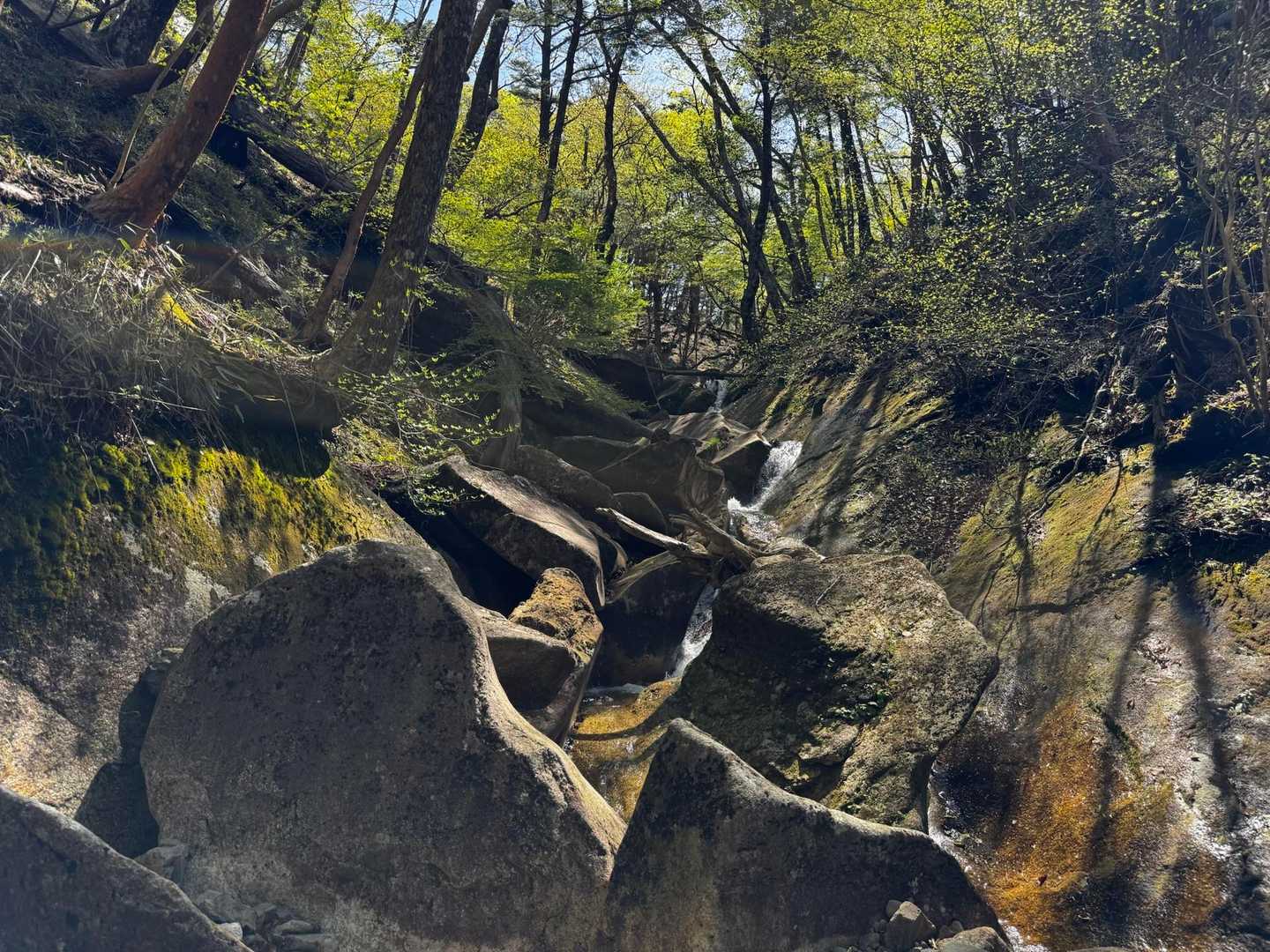 再度沢を登り返して行く🧗マイナスイオンのお陰で涼しい🎐
でも沢の水はそんなに冷たくないです😮