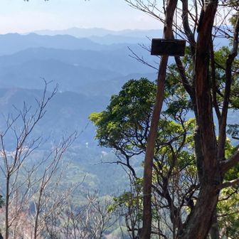 崖の上😱足がすくむ