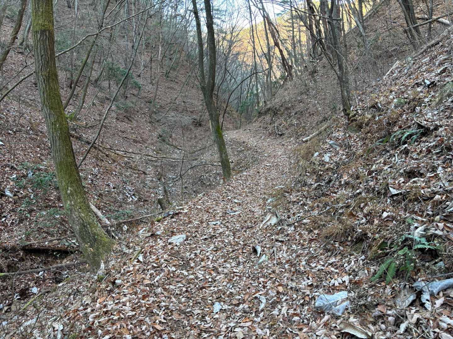 下山は、「つつじコース」。落ち葉で見えませんが、岩がゴロゴロしており、要注意。