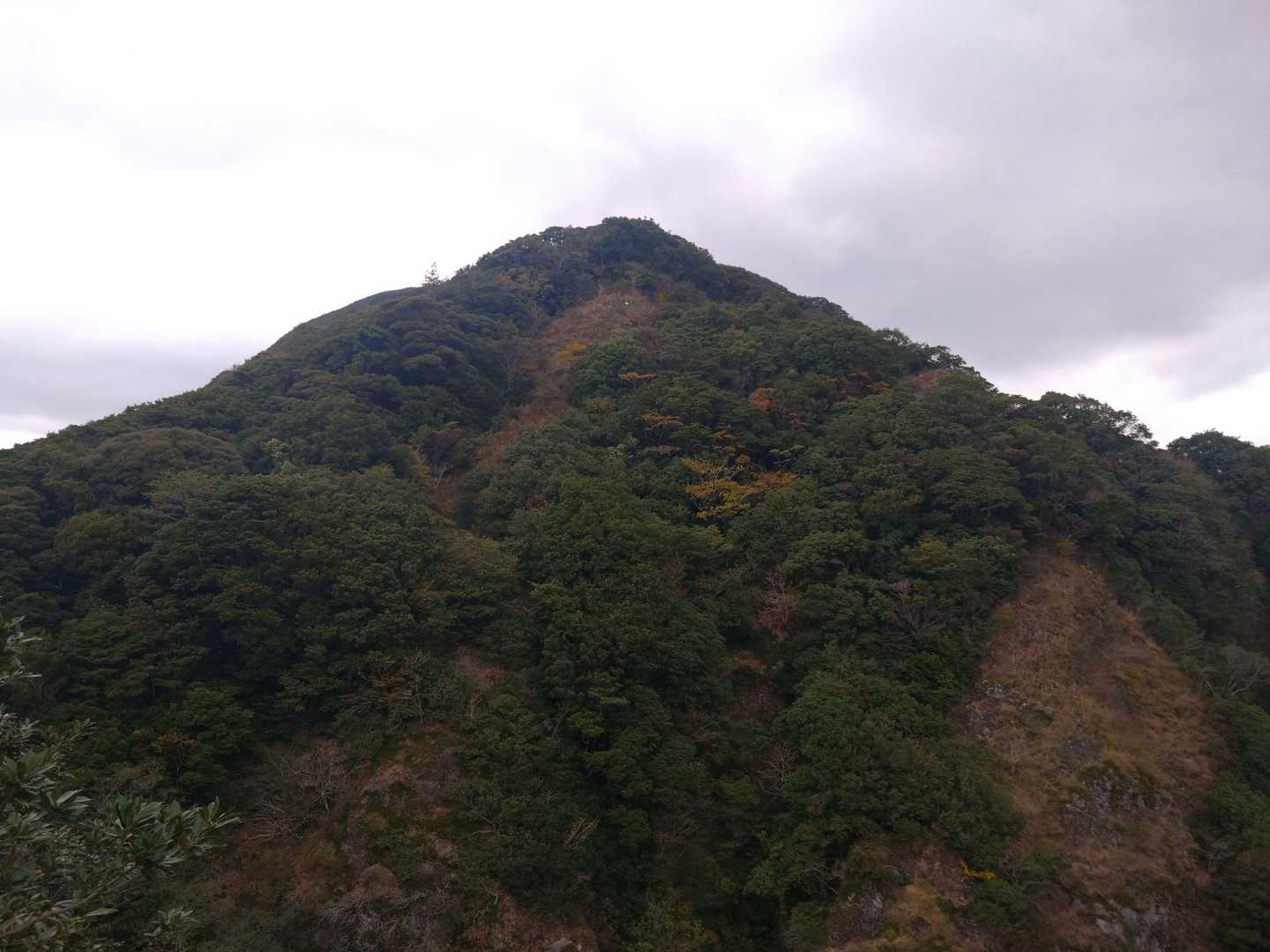 青螺御前かな❓