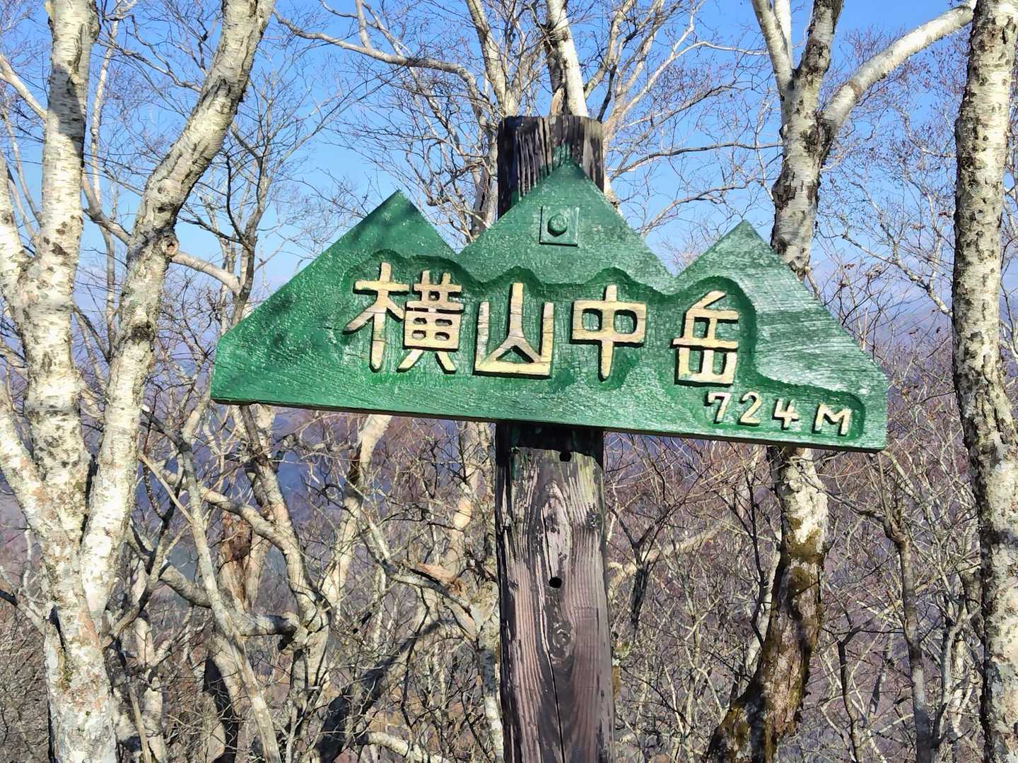 急斜面を登りきり、横山中岳に到着です✨