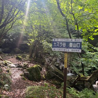 登山口まで来ました‼️この後の舗装路を進む足が速まります💨💨