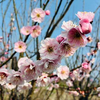 町散歩が楽しい