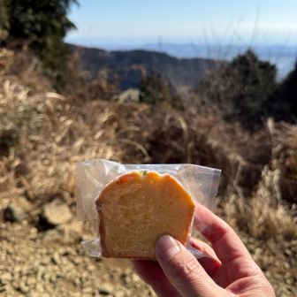 りょうさんから美味しいものを頂いた😋
