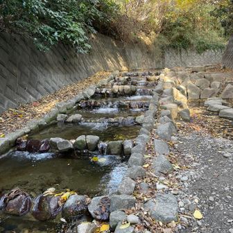 ずっと良いお天気が続いたので　川の水量は少なめですが　水音を聞きながら歩くのは楽しい🎶