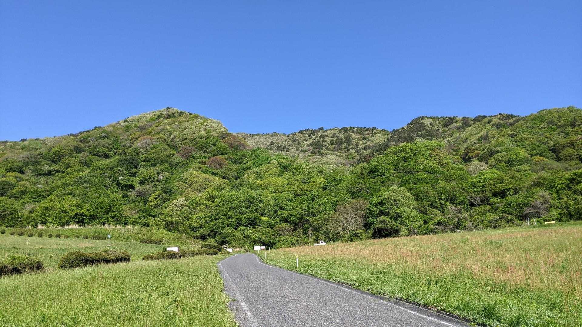 高原って感じですね😊