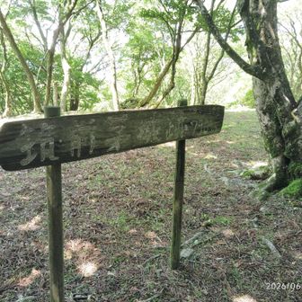 筑前茅城跡に到着、戦国時代の山城跡です。悠久の時の流れを感じますよ。