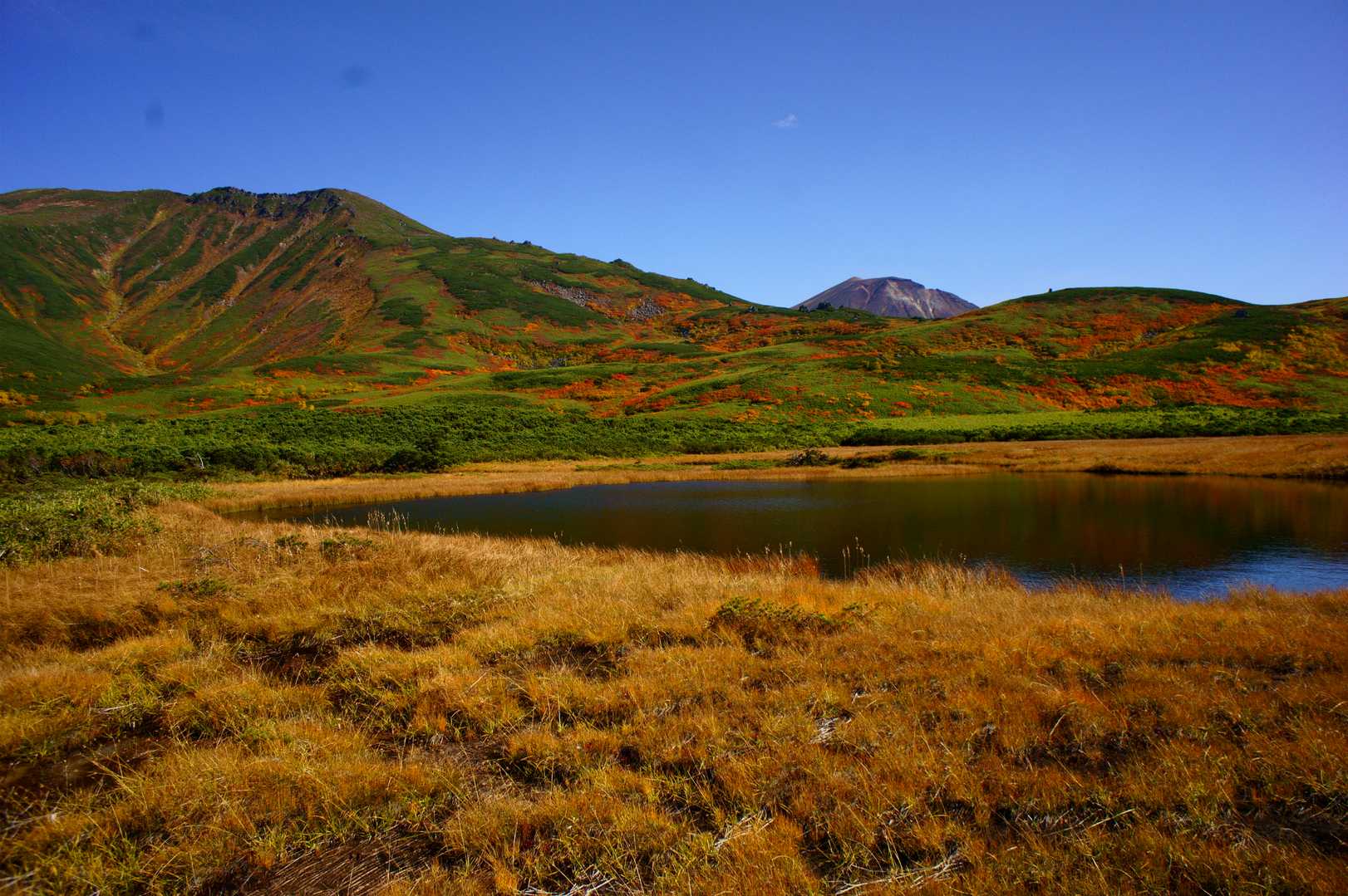 永山岳 往復コースの写真