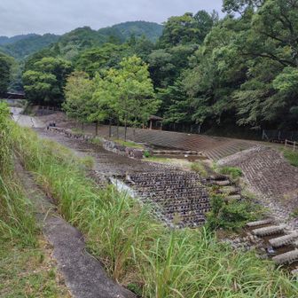 堀坂川
夏は子供たちの川遊び場