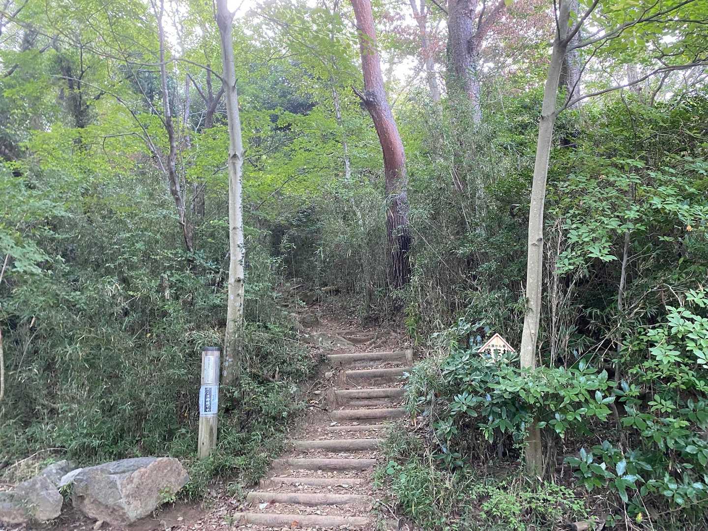 神域入りまーす😇