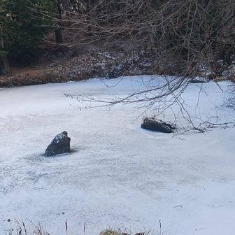 分厚い氷の池ですね
