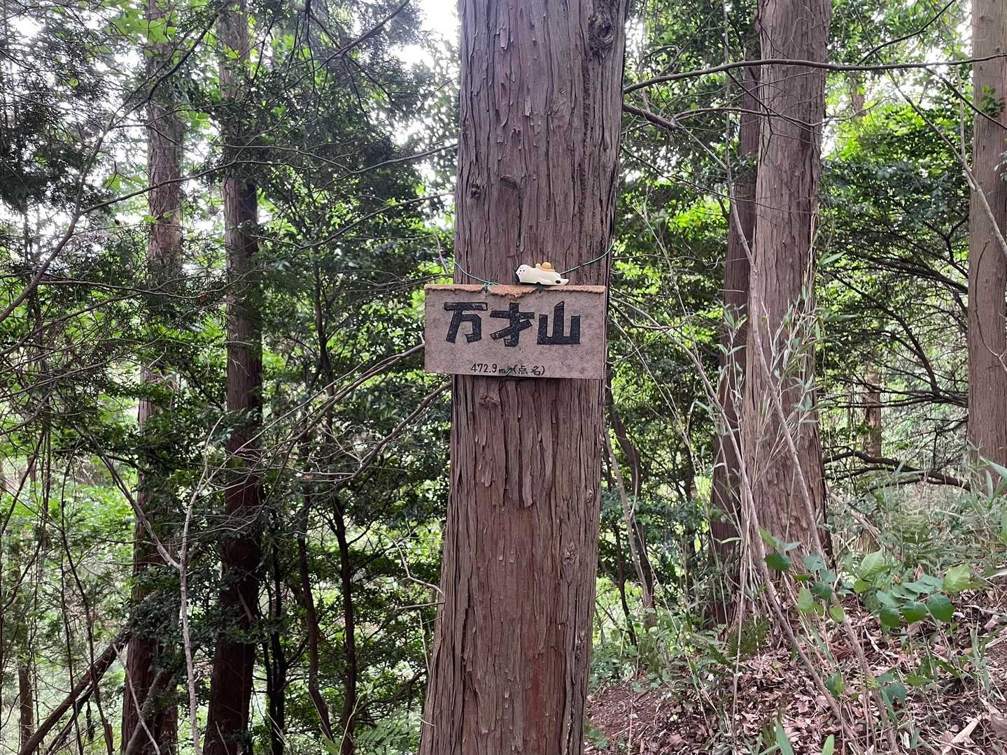 気づいたら山頂〜
まんざーい😆🙌🤣🤣
