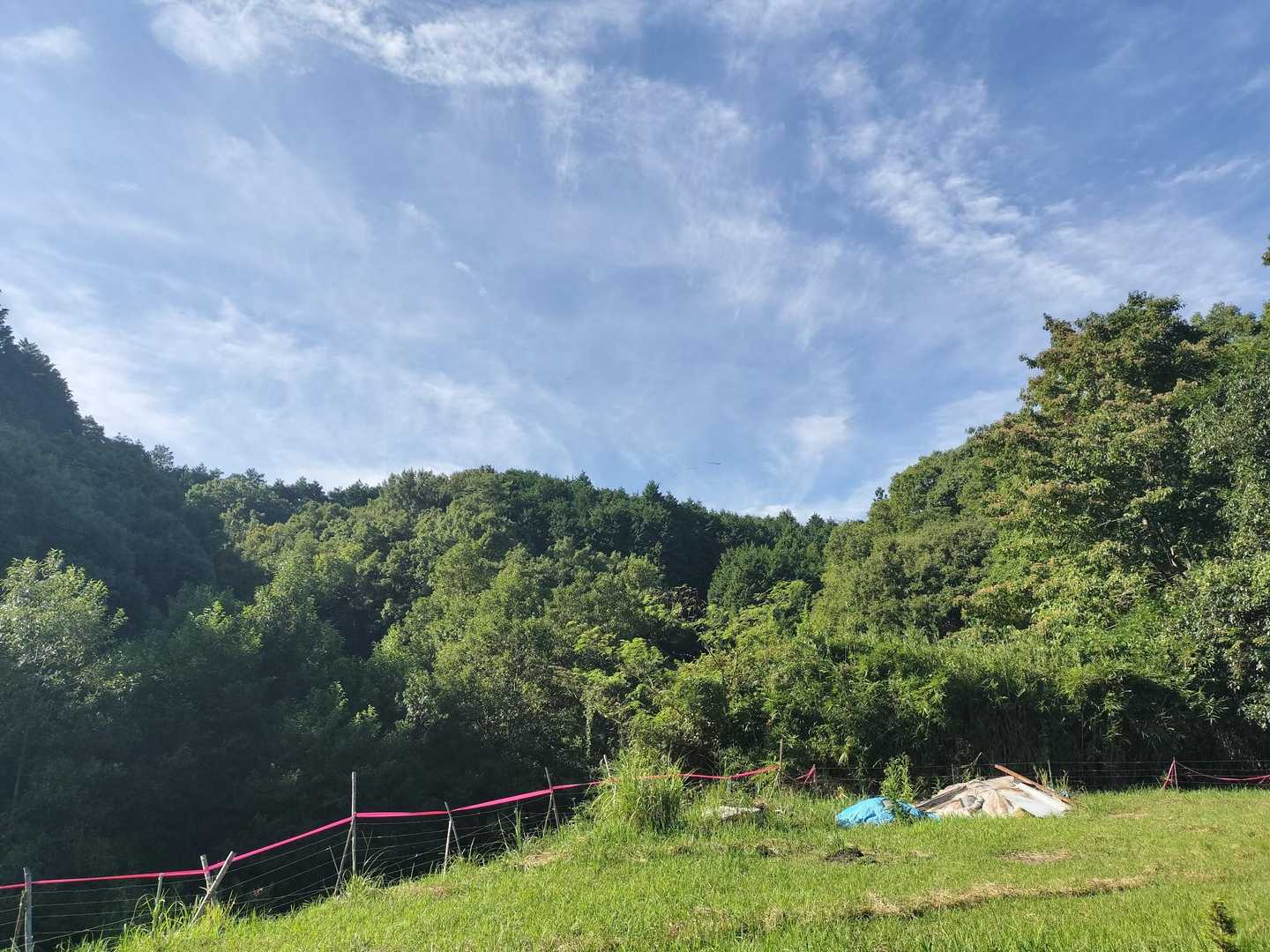 城山の山容。