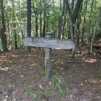 眺望はありません。道標に山名が表示。