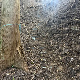 東京電力の鉄塔巡視用のプラスチック製の階段を上ります
