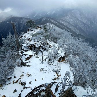 爆風とマイナス１０℃じゃ珈琲はおあずけ