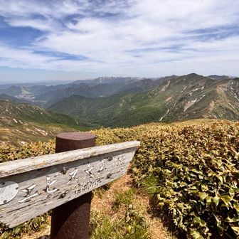 エビス大黒の頭登頂⛰️

エビス様から谷川方面はよく見える⛰️
向こうからも縦走してる人多い👏

こちらのメンバーが縦走して来た人に声をかけた人が、角田山や護摩堂山でよく会うなおさんとおよさんでした！こんな奥地で会うなんてすっごい偶然🤩
なおさんとはこの前の火打でも会ったのにまた会うなんてビックリ‼️およさんには一昨日ゴマで会ったし🤣

縦走でお疲れのところ、長々話し込んでしまいすみません🙏お会いできて嬉しかった🥰