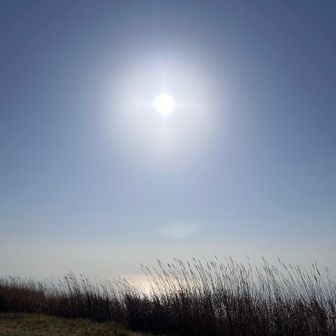 きれいすぎて、海見えない。