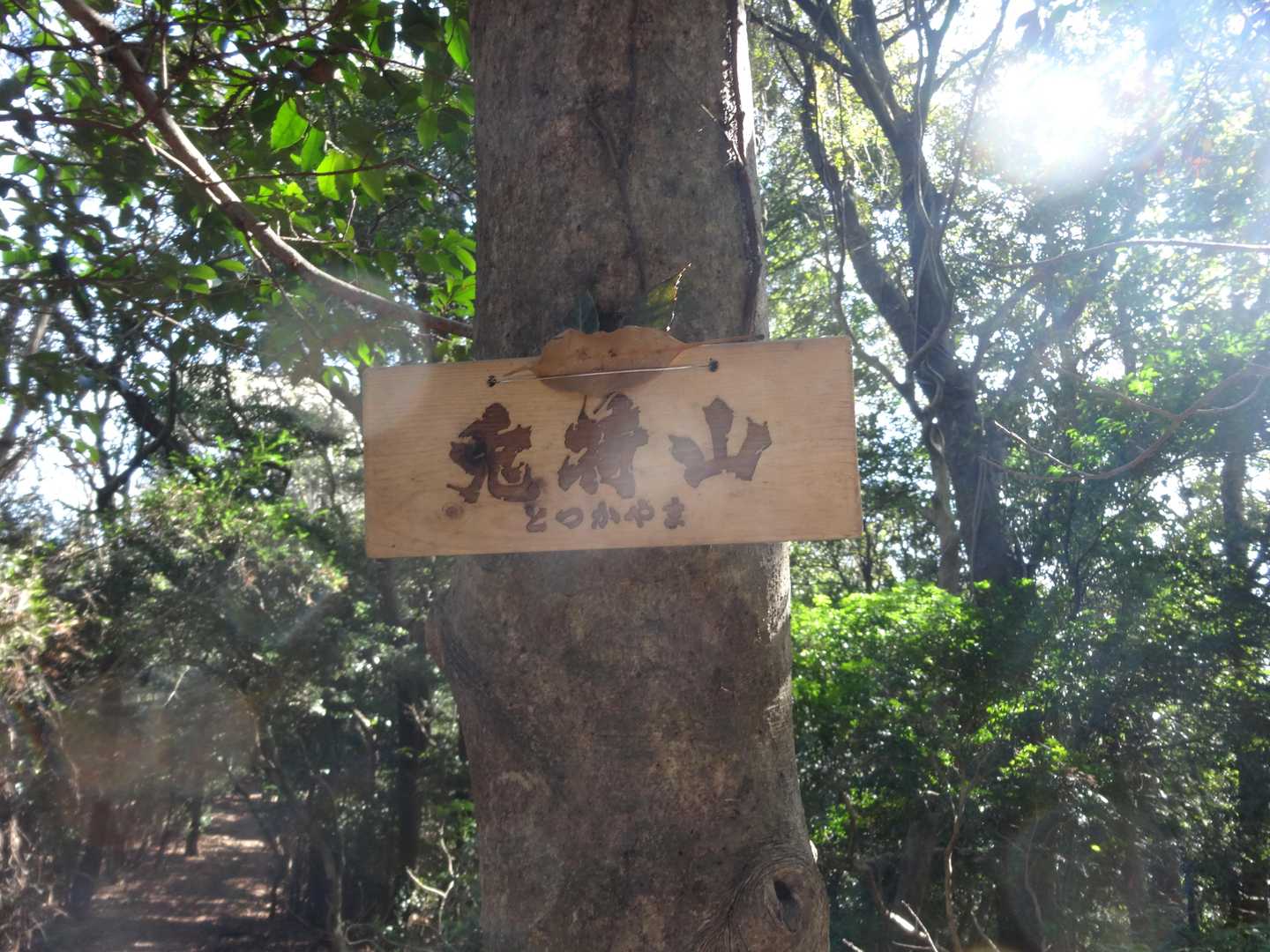 兎荷山山頂標識