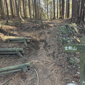 ダイトレなので
ルートは安心😊