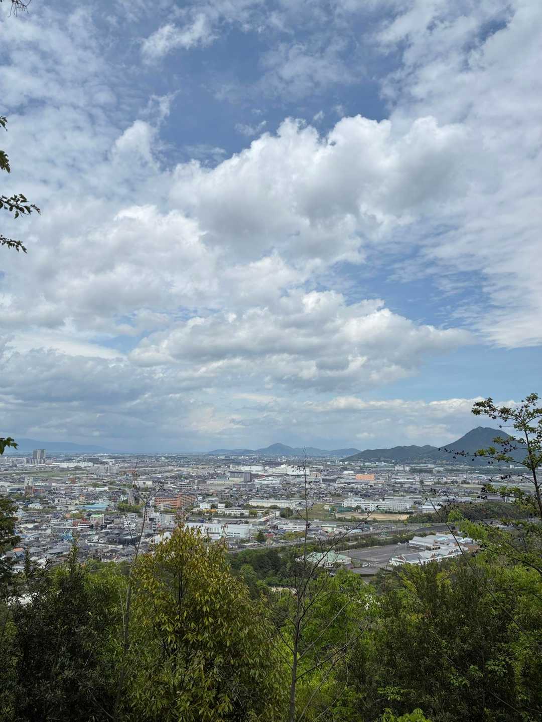 安養寺山 往復コースの写真