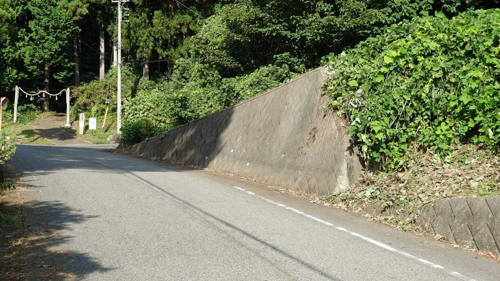 ガガイモが咲いていたところは綺麗に刈り取られてしまいました。昨日がこの地区の草刈の日だったんです😂